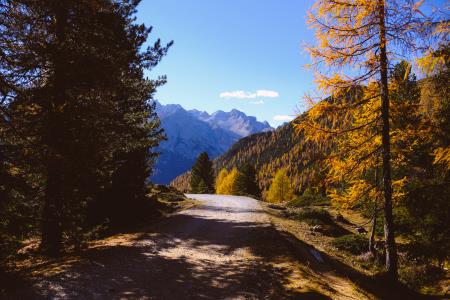 POMEMBNI KORAKI ZA SANACIJO PLAZOV IN CEST