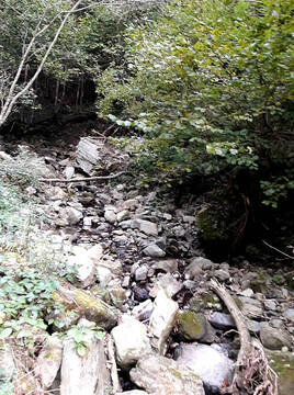 Foto: Arhiv Ribiške družine Ljubno 