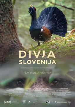 FILM DIVJA SLOVENIJA - VABILO