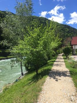 IMG_7818