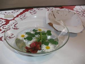 Savinja, zavod za razvoj podeželja in turizma